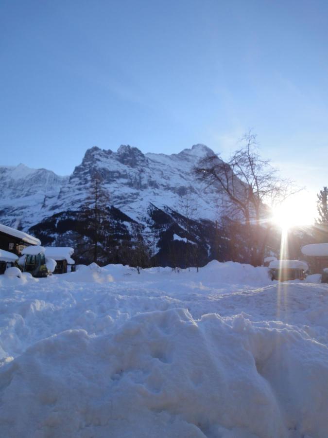 Chalet Engi Apt 1 For Up To 8 People Grindelwald Extérieur photo