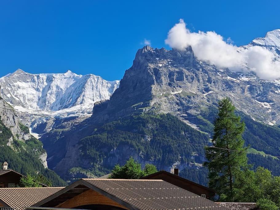 Chalet Engi Apt 1 For Up To 8 People Grindelwald Extérieur photo