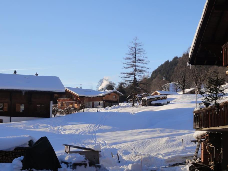 Chalet Engi Apt 1 For Up To 8 People Grindelwald Extérieur photo