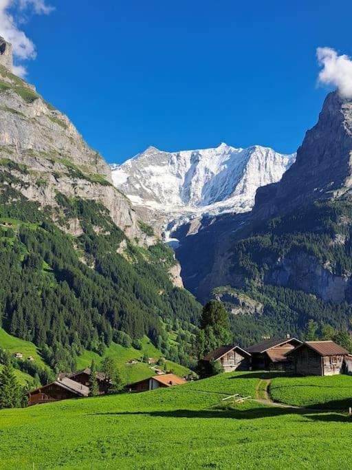 Chalet Engi Apt 1 For Up To 8 People Grindelwald Extérieur photo